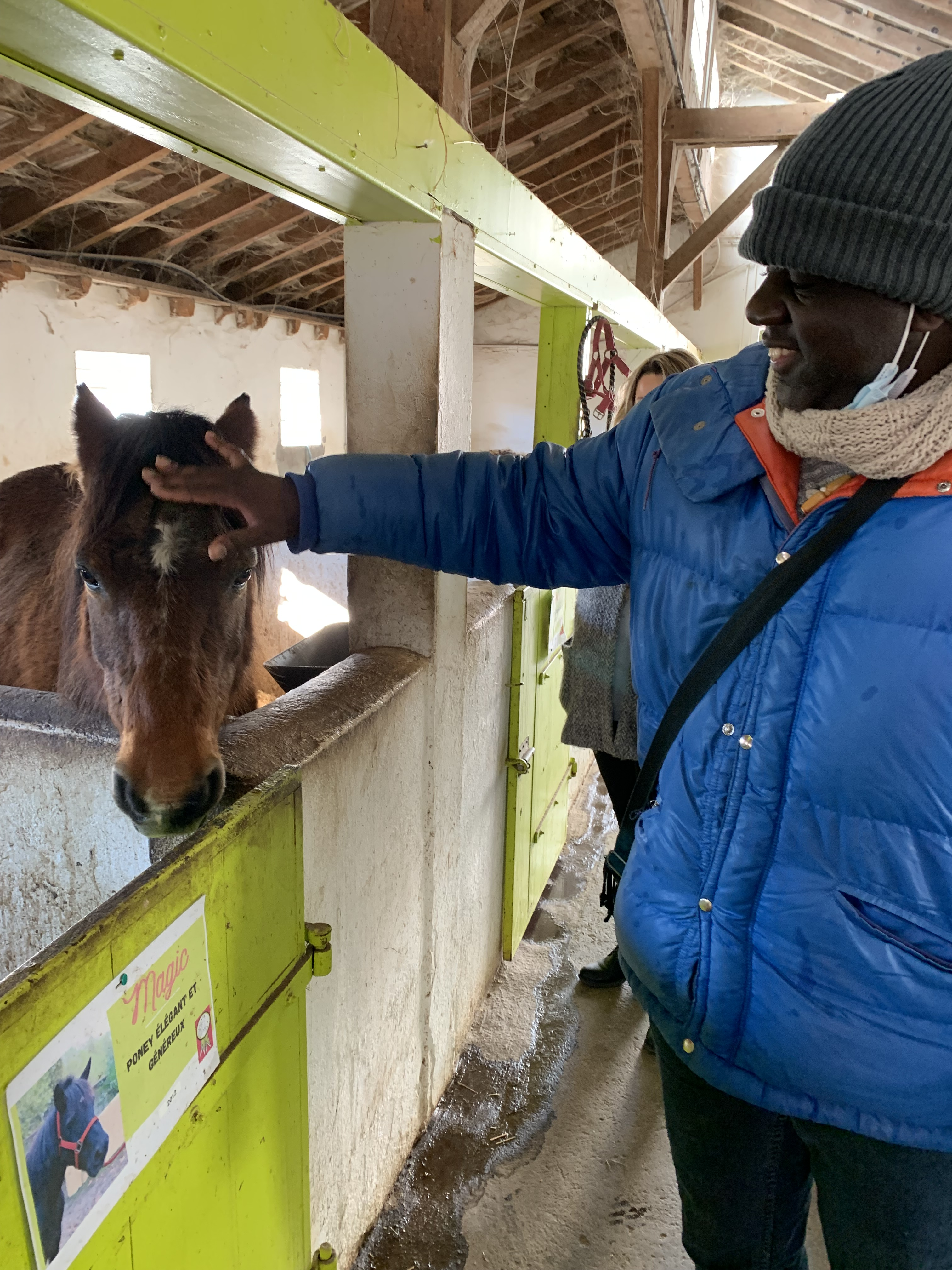Séance de médiation animale